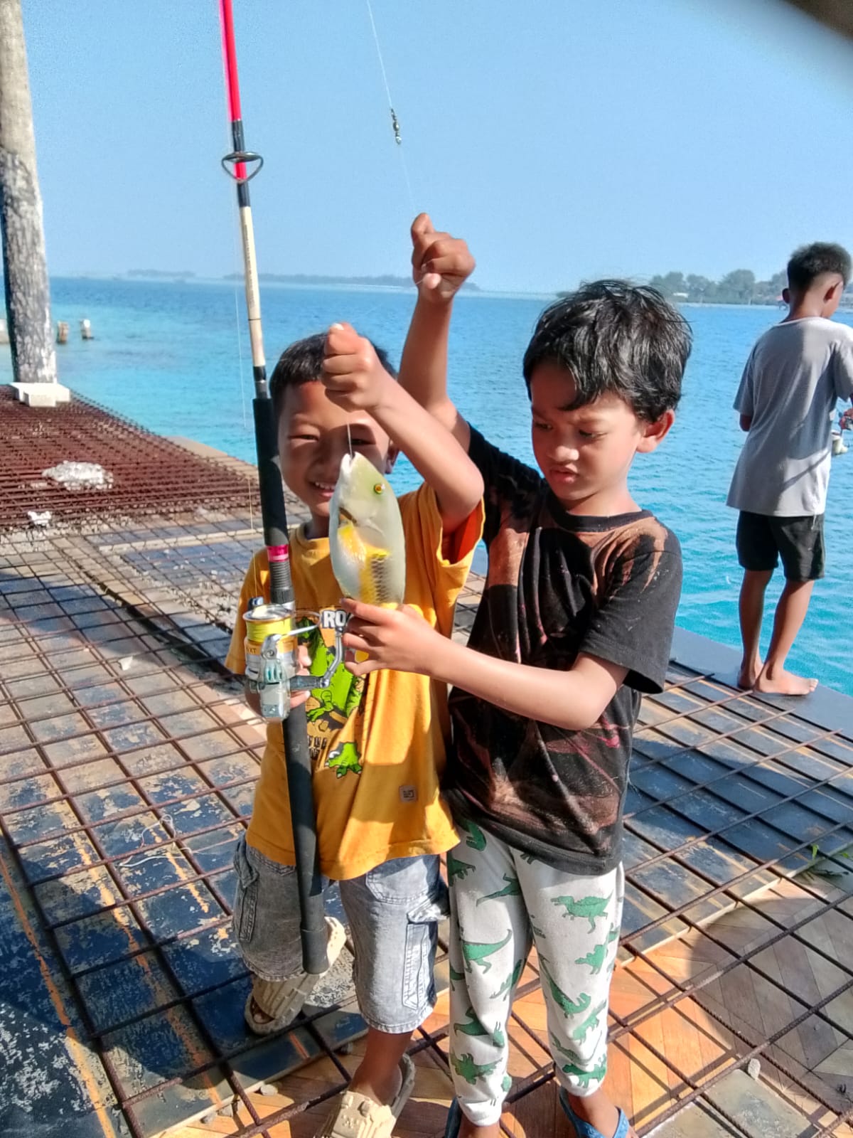Pulau Harapan